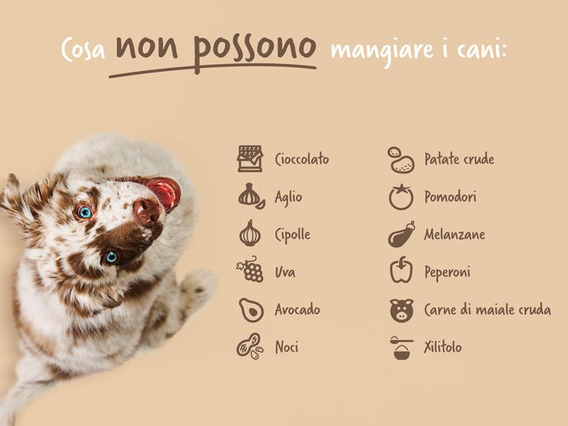 Cibo pericoloso per i cani