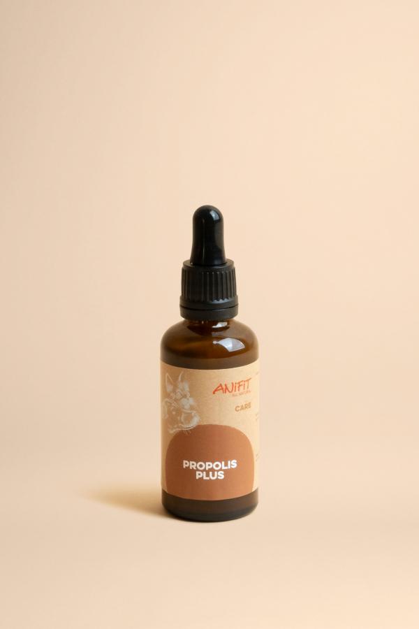 Propolis für Hunde und Katzen